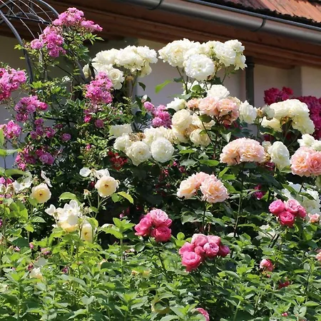 Holiday home Romantikstockl *